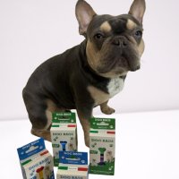 Dog Bags il sacco igienico per animali Made in Italy